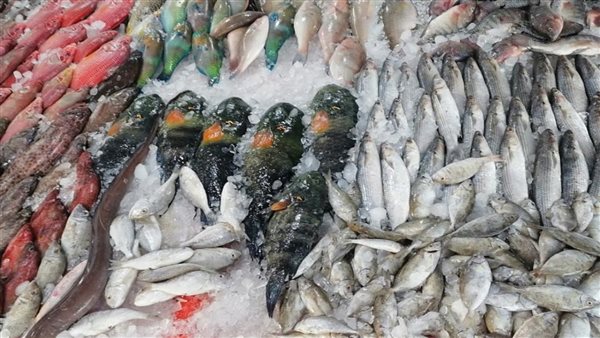 أسعار الأسماك والجمبري الخميس 12 فبراير 2026 بأسواق الجملة